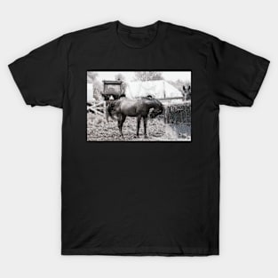 On the farm T-Shirt